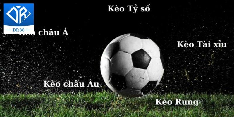 Soi Kèo Dr88 - Thế Giới Bóng Đá Thu Nhỏ Ngay Tầm Mắt