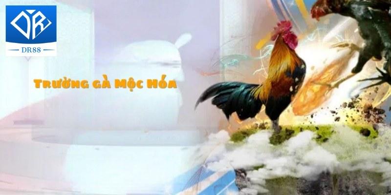 Trường Gà Mộc Hóa – Nơi Hội Tụ Những Trận Đấu Hấp Dẫn