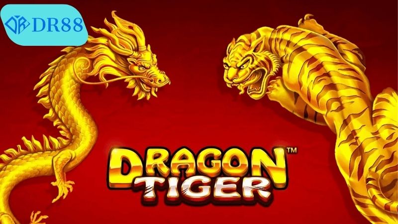 Hiểu rõ cách chơi Rồng Hổ casino DR88 và quy tắc tính điểm