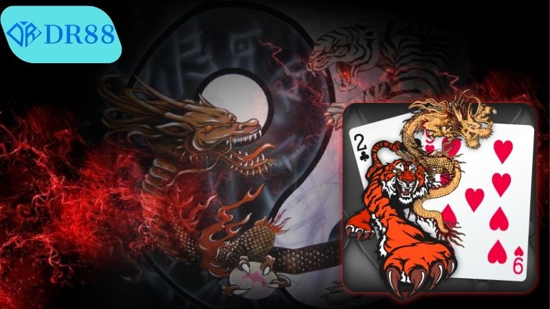 Cách chơi Rồng Hổ casino DR88 với đa dạng loại cược
